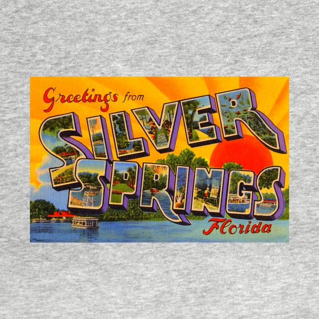 Greetings from Silver Springs, Florida - Vintage Large Letter Postcard by Naves